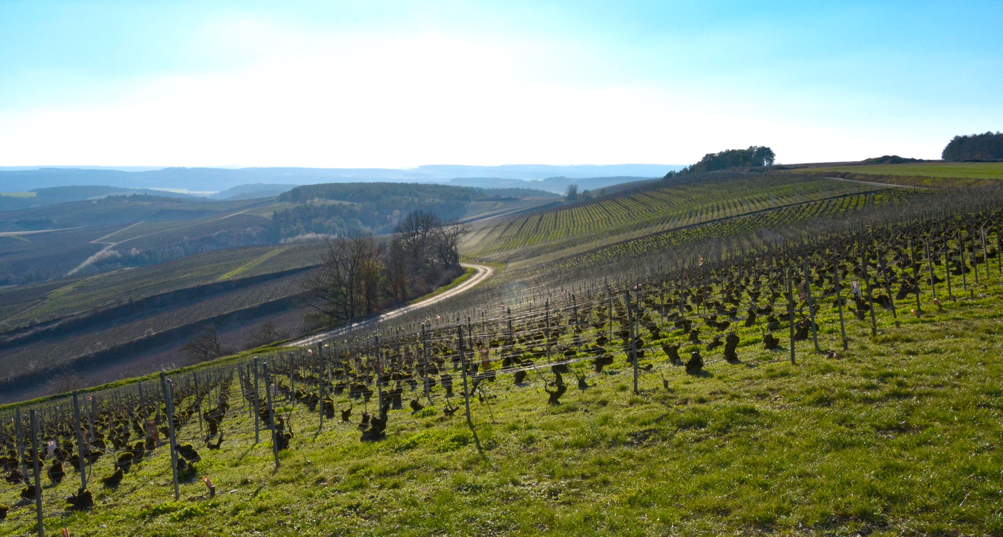 Le Plateau de Blu1 2021